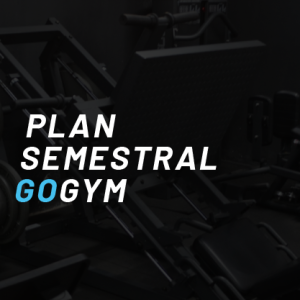Plan semestral