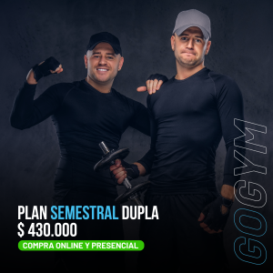 PLAN SEMESTRAL DUPLA